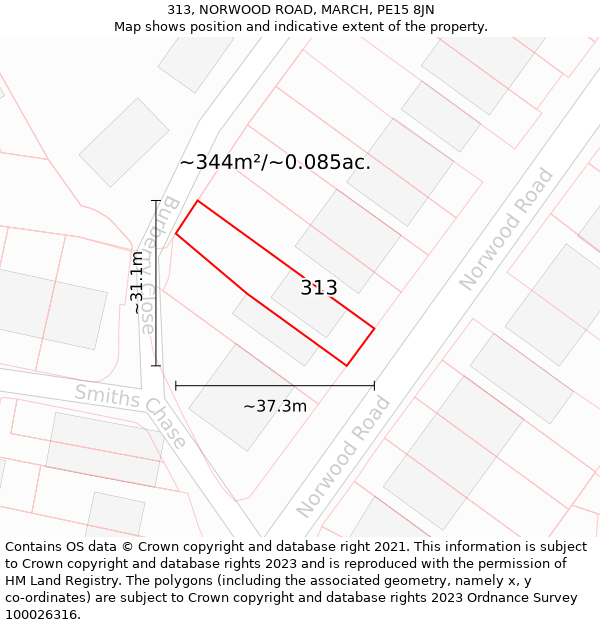 313, NORWOOD ROAD, MARCH, PE15 8JN: Plot and title map