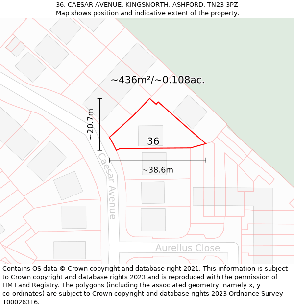 36, CAESAR AVENUE, KINGSNORTH, ASHFORD, TN23 3PZ: Plot and title map