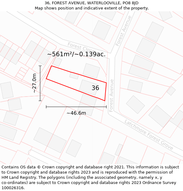 36, FOREST AVENUE, WATERLOOVILLE, PO8 8JD: Plot and title map