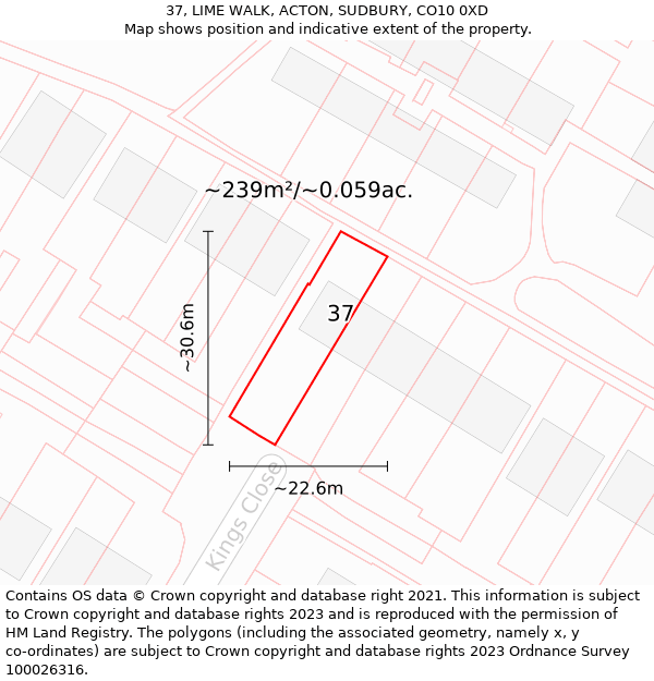 37, LIME WALK, ACTON, SUDBURY, CO10 0XD: Plot and title map