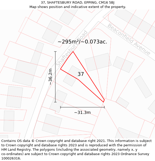 37, SHAFTESBURY ROAD, EPPING, CM16 5BJ: Plot and title map