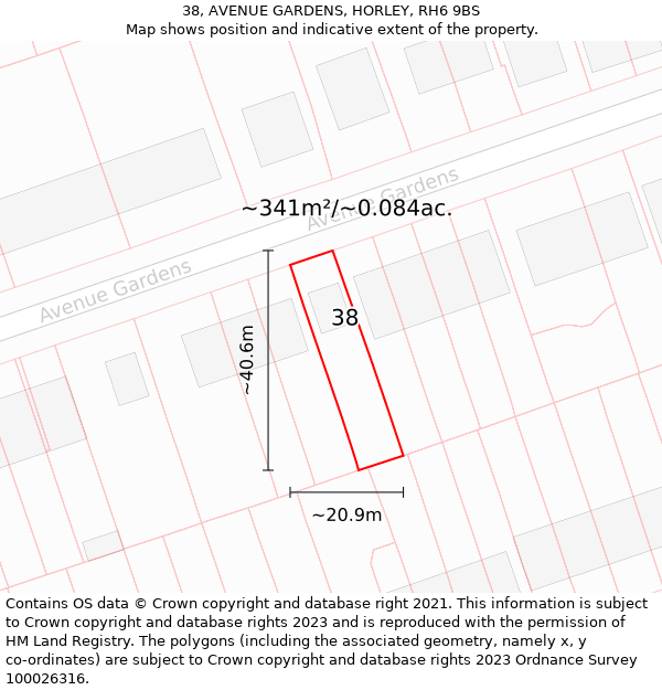 38, AVENUE GARDENS, HORLEY, RH6 9BS: Plot and title map