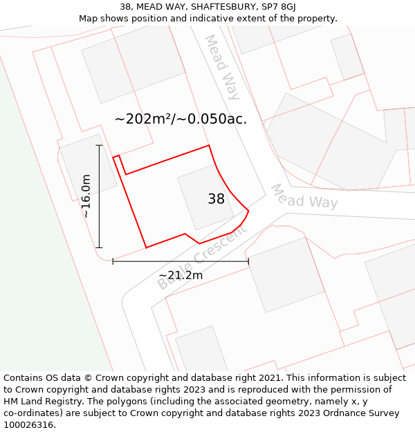 38, MEAD WAY, SHAFTESBURY, SP7 8GJ: Plot and title map