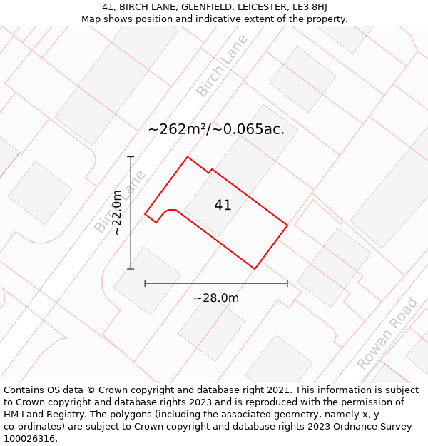 41, BIRCH LANE, GLENFIELD, LEICESTER, LE3 8HJ: Plot and title map