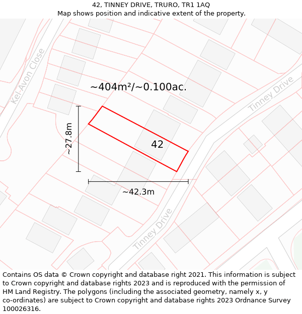 42, TINNEY DRIVE, TRURO, TR1 1AQ: Plot and title map