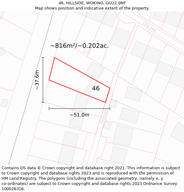 46, HILLSIDE, WOKING, GU22 0NF: Plot and title map