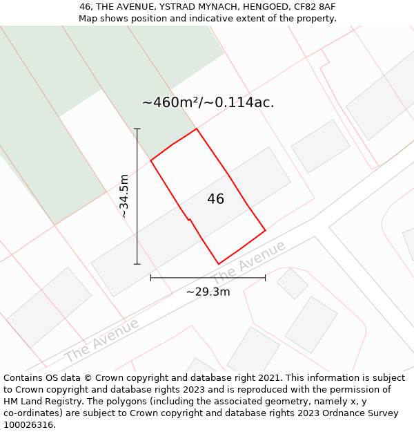 46, THE AVENUE, YSTRAD MYNACH, HENGOED, CF82 8AF: Plot and title map