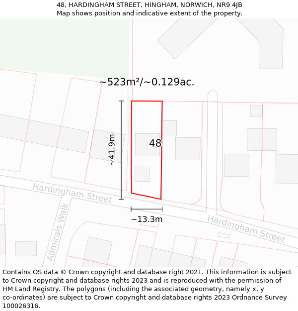 48, HARDINGHAM STREET, HINGHAM, NORWICH, NR9 4JB: Plot and title map