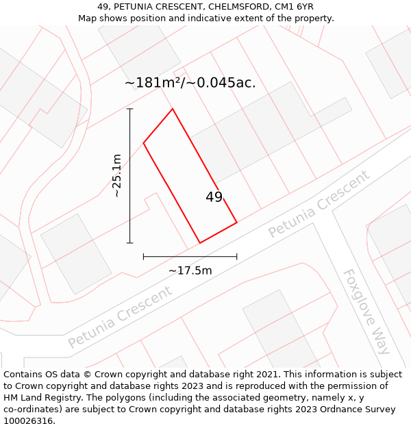 49, PETUNIA CRESCENT, CHELMSFORD, CM1 6YR: Plot and title map