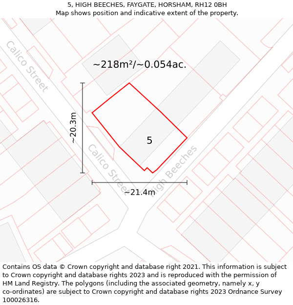 5, HIGH BEECHES, FAYGATE, HORSHAM, RH12 0BH: Plot and title map