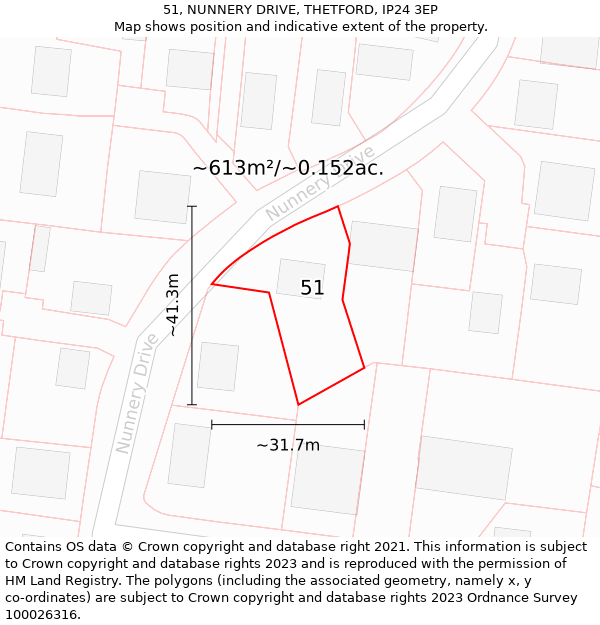 51, NUNNERY DRIVE, THETFORD, IP24 3EP: Plot and title map