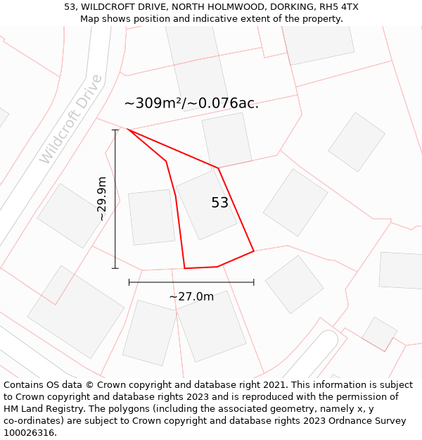 53, WILDCROFT DRIVE, NORTH HOLMWOOD, DORKING, RH5 4TX: Plot and title map