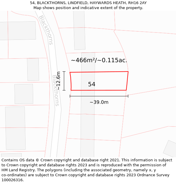 54, BLACKTHORNS, LINDFIELD, HAYWARDS HEATH, RH16 2AY: Plot and title map