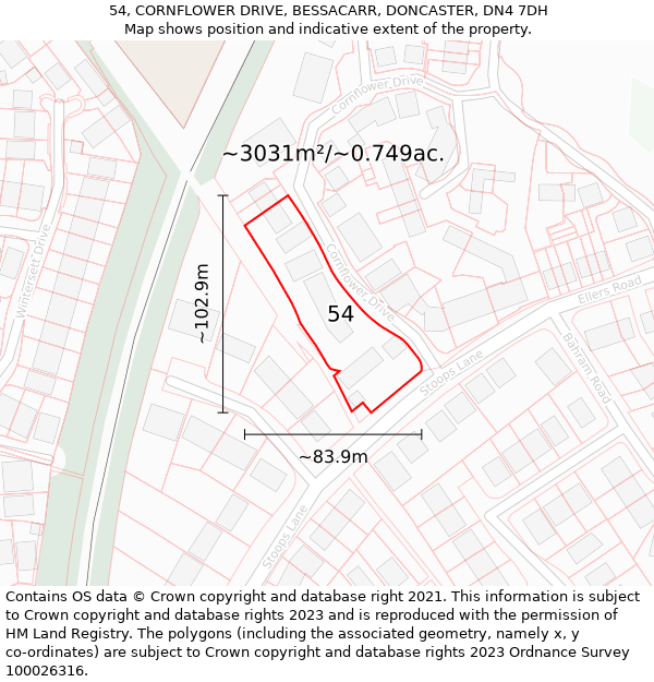 54, CORNFLOWER DRIVE, BESSACARR, DONCASTER, DN4 7DH: Plot and title map