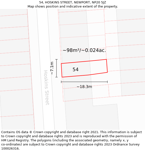 54, HOSKINS STREET, NEWPORT, NP20 5JZ: Plot and title map