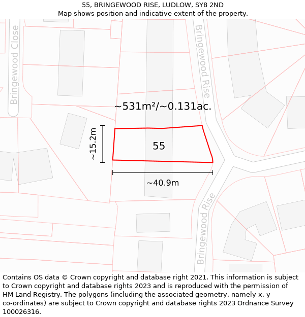 55, BRINGEWOOD RISE, LUDLOW, SY8 2ND: Plot and title map