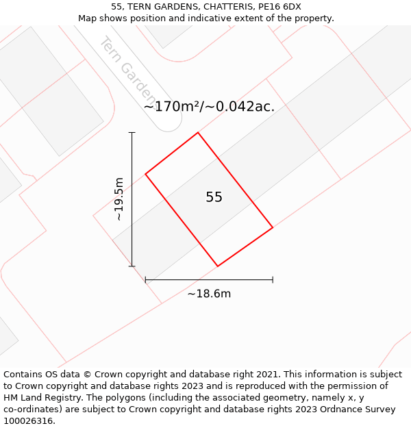 55, TERN GARDENS, CHATTERIS, PE16 6DX: Plot and title map