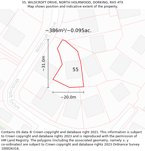 55, WILDCROFT DRIVE, NORTH HOLMWOOD, DORKING, RH5 4TX: Plot and title map