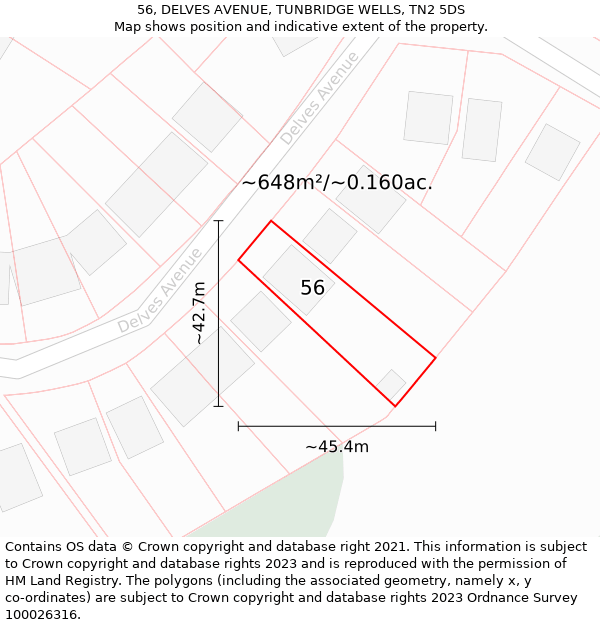 56, DELVES AVENUE, TUNBRIDGE WELLS, TN2 5DS: Plot and title map