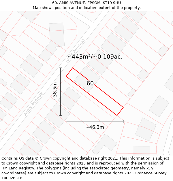 60, AMIS AVENUE, EPSOM, KT19 9HU: Plot and title map