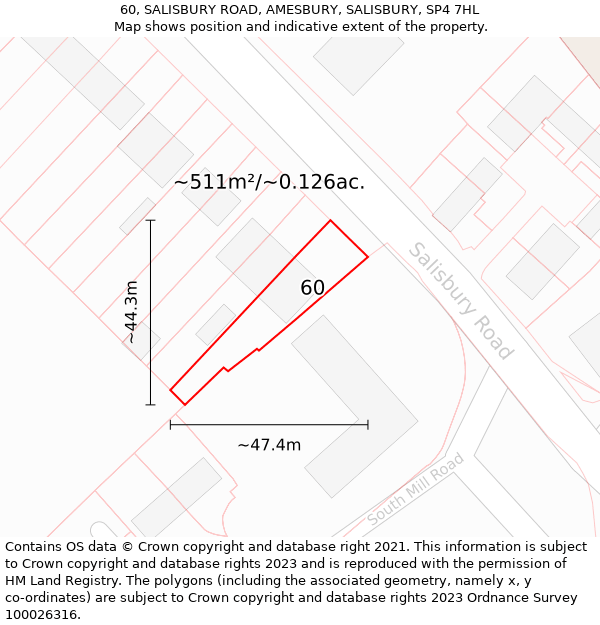 60, SALISBURY ROAD, AMESBURY, SALISBURY, SP4 7HL: Plot and title map