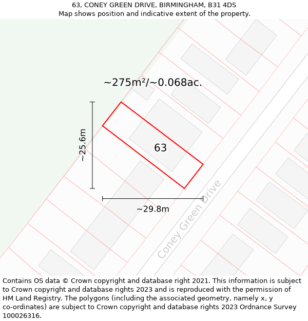 63, CONEY GREEN DRIVE, BIRMINGHAM, B31 4DS: Plot and title map