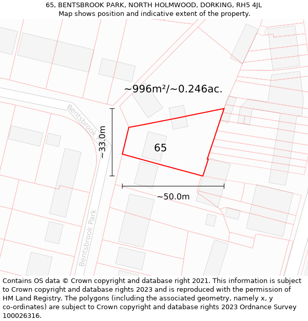 65, BENTSBROOK PARK, NORTH HOLMWOOD, DORKING, RH5 4JL: Plot and title map