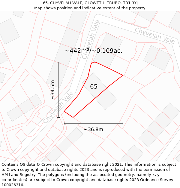 65, CHYVELAH VALE, GLOWETH, TRURO, TR1 3YJ: Plot and title map