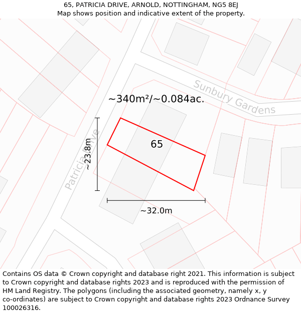 65, PATRICIA DRIVE, ARNOLD, NOTTINGHAM, NG5 8EJ: Plot and title map