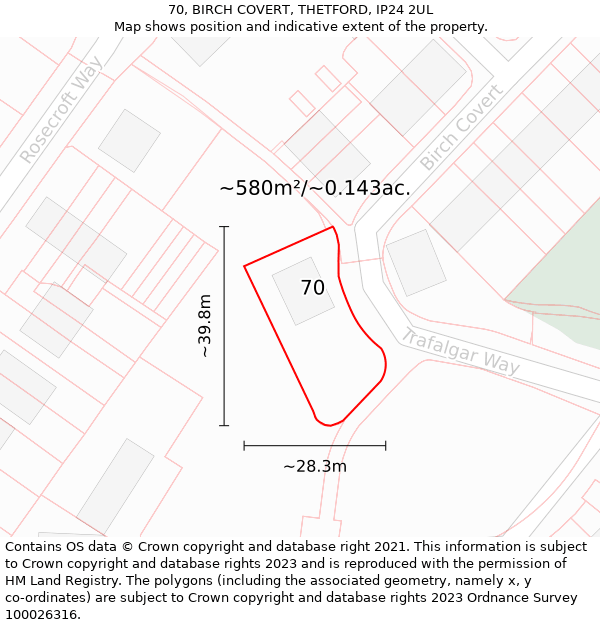 70, BIRCH COVERT, THETFORD, IP24 2UL: Plot and title map