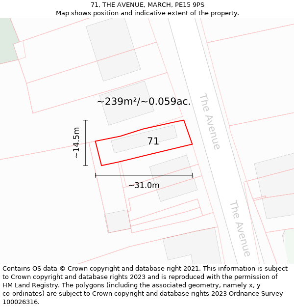 71, THE AVENUE, MARCH, PE15 9PS: Plot and title map