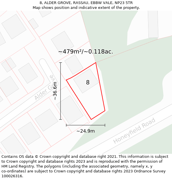 8, ALDER GROVE, RASSAU, EBBW VALE, NP23 5TR: Plot and title map