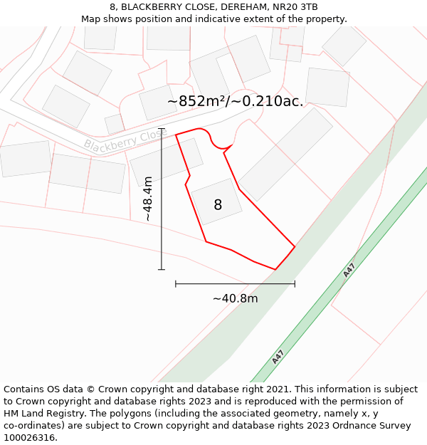 8, BLACKBERRY CLOSE, DEREHAM, NR20 3TB: Plot and title map