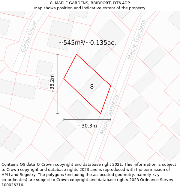 8, MAPLE GARDENS, BRIDPORT, DT6 4DP: Plot and title map