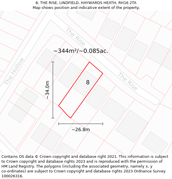 8, THE RISE, LINDFIELD, HAYWARDS HEATH, RH16 2TA: Plot and title map