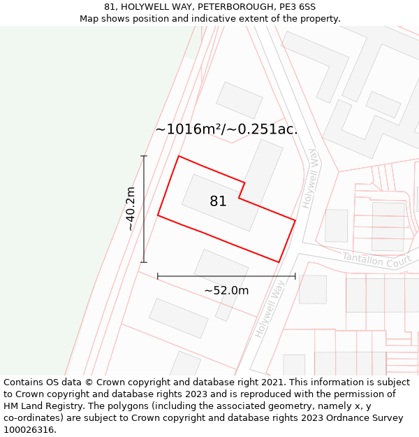 81, HOLYWELL WAY, PETERBOROUGH, PE3 6SS: Plot and title map