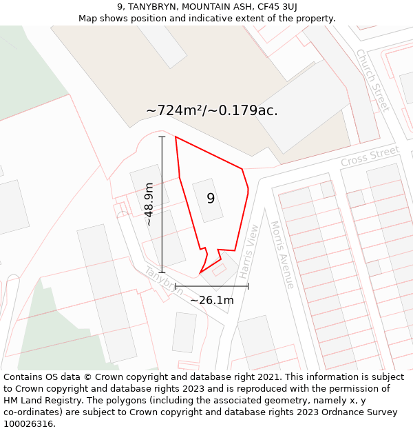 9, TANYBRYN, MOUNTAIN ASH, CF45 3UJ: Plot and title map