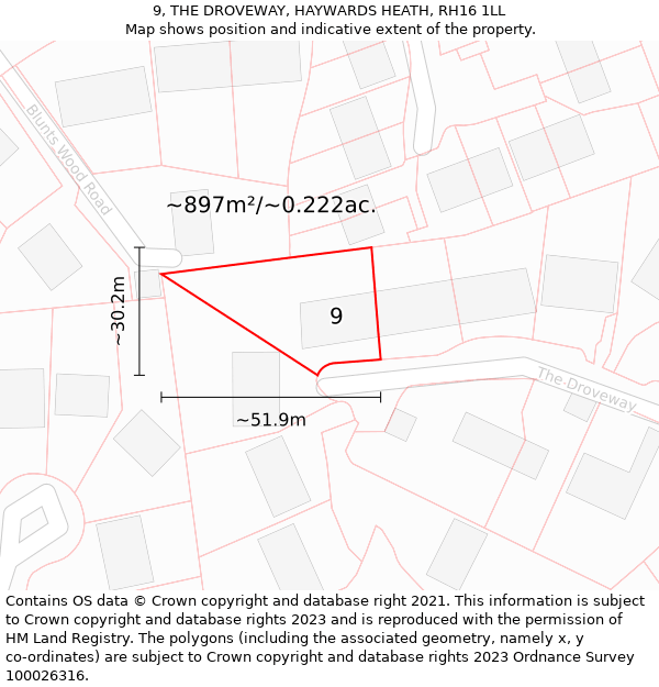 9, THE DROVEWAY, HAYWARDS HEATH, RH16 1LL: Plot and title map