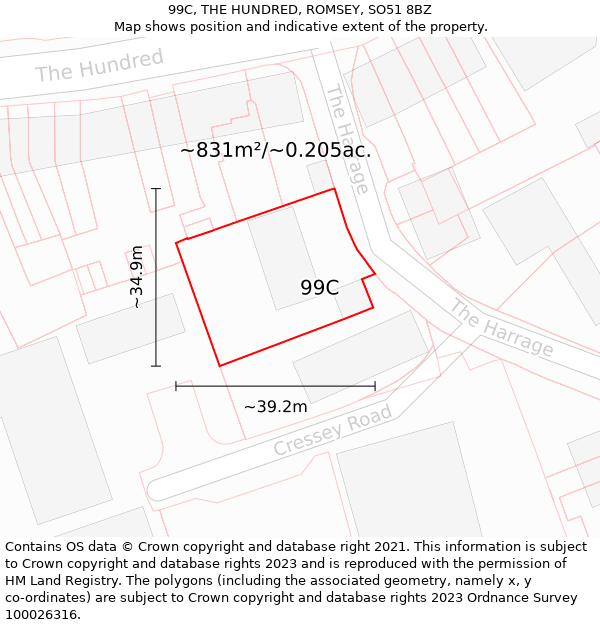 99C, THE HUNDRED, ROMSEY, SO51 8BZ: Plot and title map