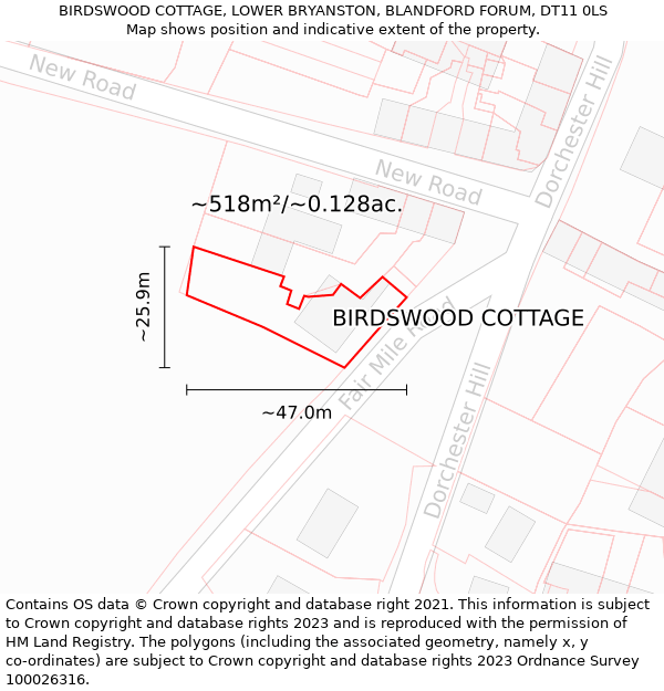 BIRDSWOOD COTTAGE, LOWER BRYANSTON, BLANDFORD FORUM, DT11 0LS: Plot and title map