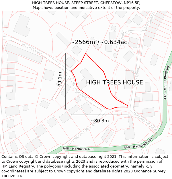 HIGH TREES HOUSE, STEEP STREET, CHEPSTOW, NP16 5PJ: Plot and title map