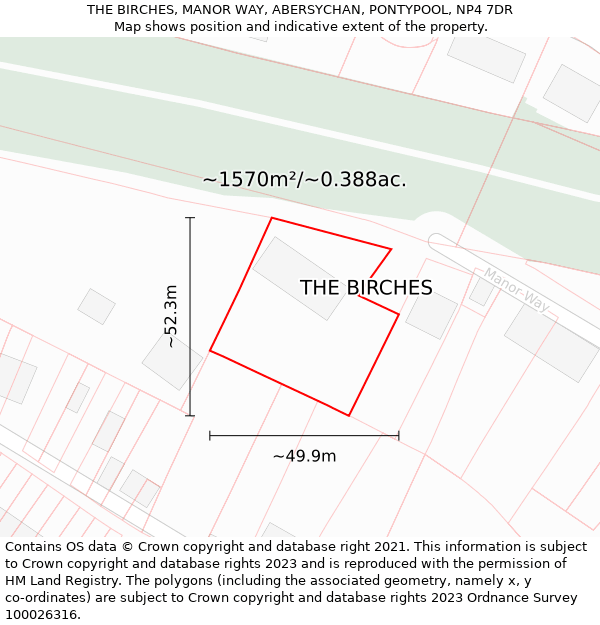 THE BIRCHES, MANOR WAY, ABERSYCHAN, PONTYPOOL, NP4 7DR: Plot and title map