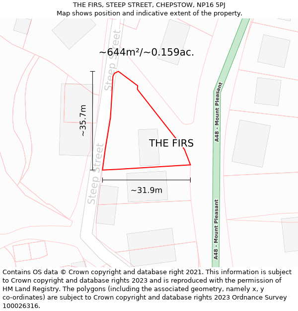 THE FIRS, STEEP STREET, CHEPSTOW, NP16 5PJ: Plot and title map