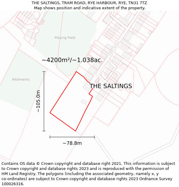 THE SALTINGS, TRAM ROAD, RYE HARBOUR, RYE, TN31 7TZ: Plot and title map