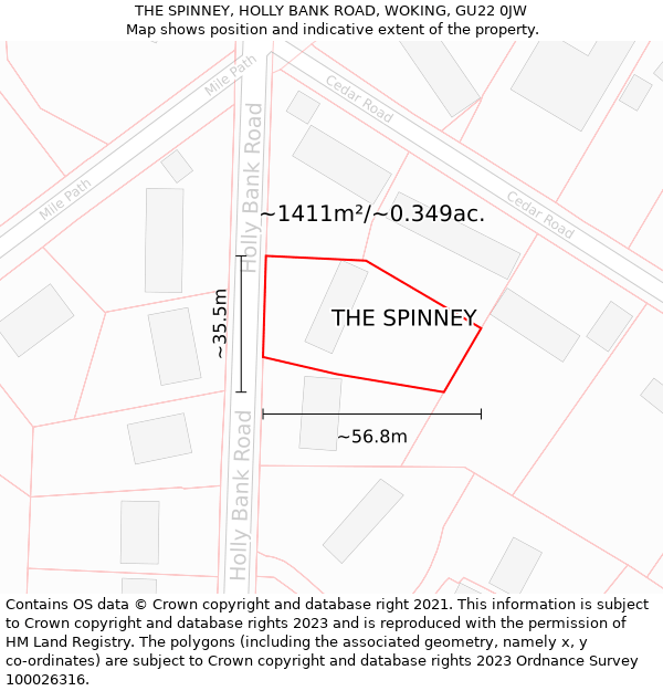 THE SPINNEY, HOLLY BANK ROAD, WOKING, GU22 0JW: Plot and title map