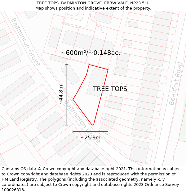 TREE TOPS, BADMINTON GROVE, EBBW VALE, NP23 5LL: Plot and title map