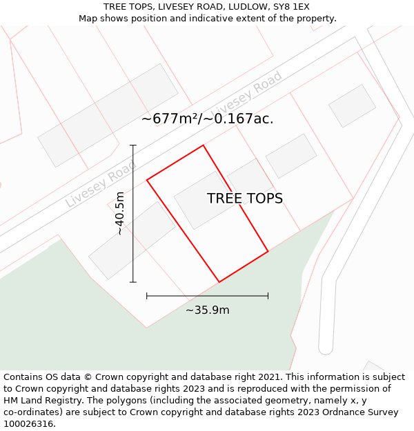 TREE TOPS, LIVESEY ROAD, LUDLOW, SY8 1EX: Plot and title map