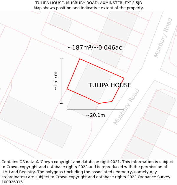 TULIPA HOUSE, MUSBURY ROAD, AXMINSTER, EX13 5JB: Plot and title map
