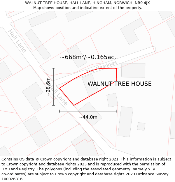 WALNUT TREE HOUSE, HALL LANE, HINGHAM, NORWICH, NR9 4JX: Plot and title map