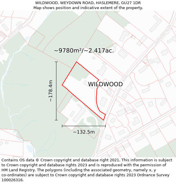 WILDWOOD, WEYDOWN ROAD, HASLEMERE, GU27 1DR: Plot and title map